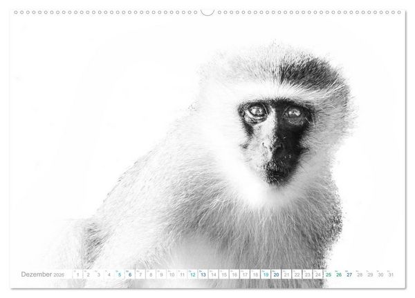 Produktbild: AFRIKA - Schwarz-weiss Fotografien im modernen "High Key" Look (Wandkalender 2026 DIN A2 quer), CALVENDO Monatskalender
