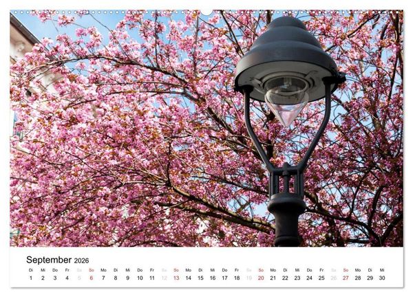 Produktbild: Bonn - Kirschbl&uuml;tenfest in der Altstadt (hochwertiger Premium Wandkalender 2026 DIN A2 quer), Kunstdruck in Hochglanz