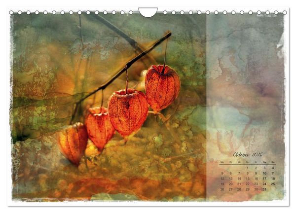 Produktbild: Bl&uuml;te trifft auf Aquarell (Wandkalender 2026 DIN A4 quer), CALVENDO Monatskalender