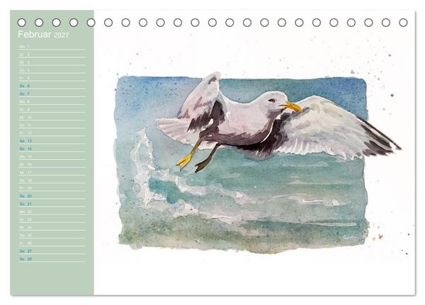 Produktbild: M&ouml;wen - Aquarelle von Julia Pasinski (Tischkalender 2027 DIN A5 quer), CALVENDO Monatskalender