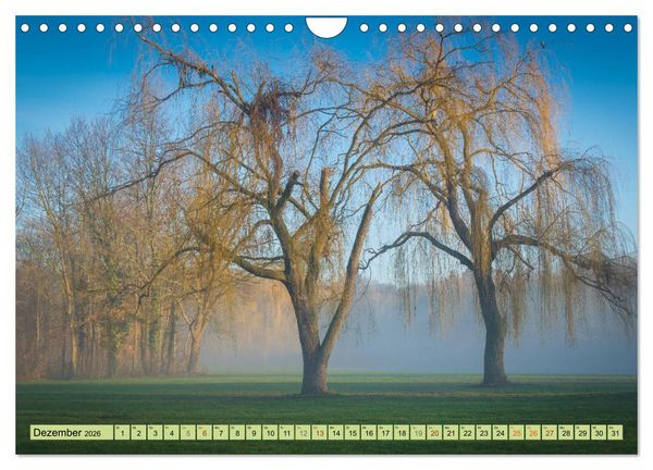 Produktbild: Gr&uuml;nes Halle/Saale - Meine wilde H&auml;ndelstadt (Wandkalender 2026 DIN A4 quer), CALVENDO Monatskalender