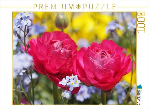 Produktbild: CALVENDO Puzzle Pinke Ranunkeln umgeben von Vergissmeinnicht | 1000 Teile Lege-Gr&ouml;&szlig;e 64x48cm Foto-Puzzle f&uuml;r gl&uuml;ckliche Stunden