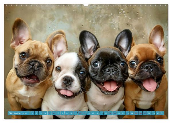 Produktbild: L&auml;chelnde Hunde sind wie Sonnenschein auf vier Pfoten (Wandkalender 2026 DIN A2 quer), CALVENDO Monatskalender