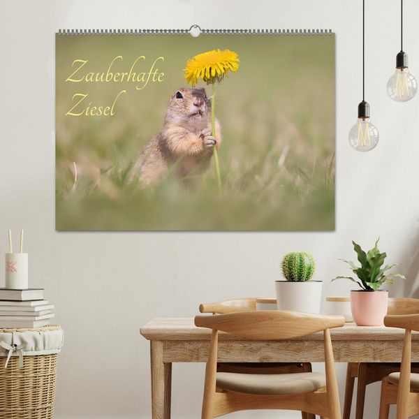 Produktbild: Zauberhafte Ziesel (Wandkalender 2026 DIN A2 quer), CALVENDO Monatskalender