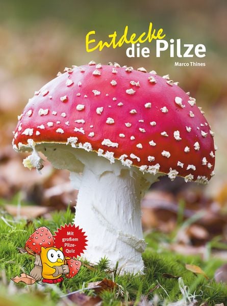 Produktbild: Entdecke die Pilze