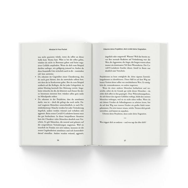 Produktbild: Meistere dein Mindset