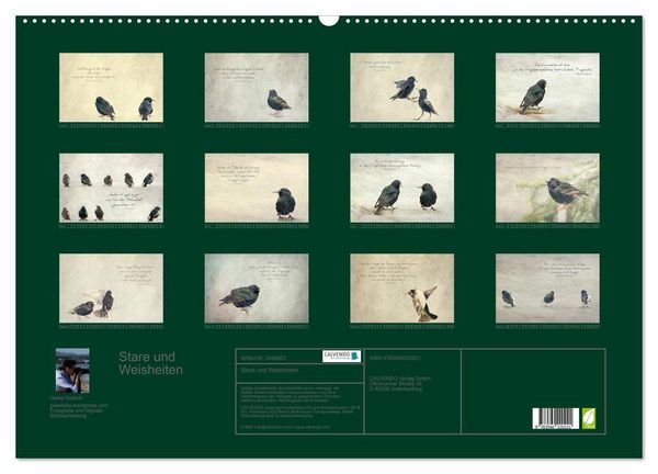 Produktbild: Stare und Weisheiten (Wandkalender 2027 DIN A2 quer), CALVENDO Monatskalender