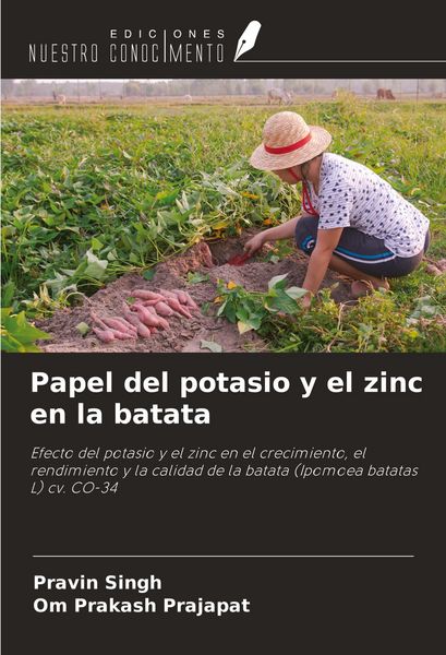 Produktbild: Papel del potasio y el zinc en la batata