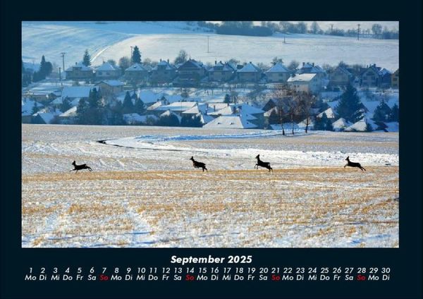 Produktbild: Blick in die Natur 2025 Fotokalender DIN A4