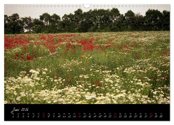 Produktbild: RH&Ouml;N = SCH&Ouml;N (Wandkalender 2026 DIN A3 quer), CALVENDO Monatskalender