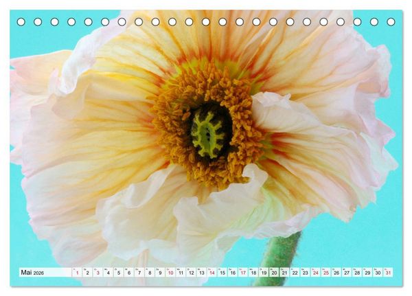 Produktbild: Prachtvolle Mohnbl&uuml;ten (Tischkalender 2026 DIN A5 quer), CALVENDO Monatskalender