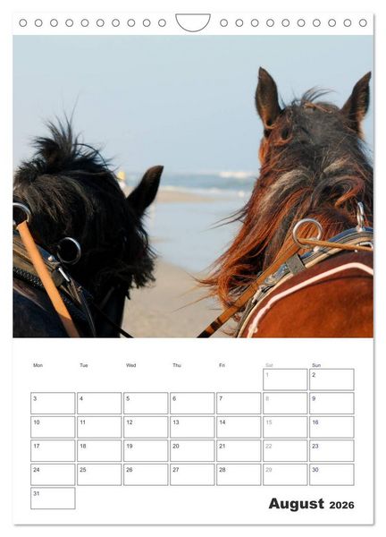 Produktbild: Shire Horses The Gentle Giants (Wall Calendar 2026 DIN A4 portrait), CALVENDO 12 Month Wall Calendar
