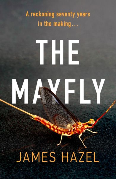 Produktbild: The Mayfly
