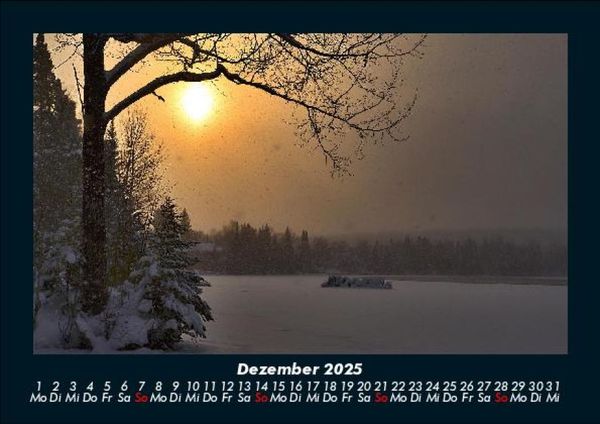 Produktbild: B&auml;ume 2025 Fotokalender DIN A5