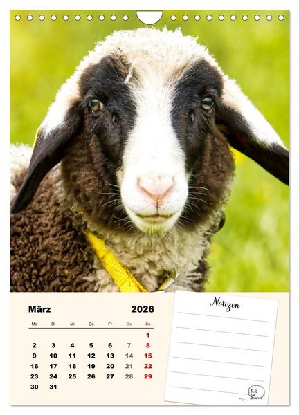 Produktbild: L&auml;mmergl&uuml;ck (Wandkalender 2026 DIN A4 hoch), CALVENDO Monatskalender