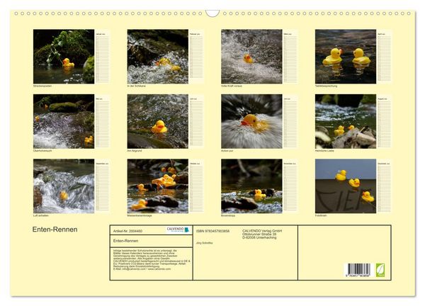 Produktbild: Enten-Rennen (Wandkalender 2026 DIN A2 quer), CALVENDO Monatskalender
