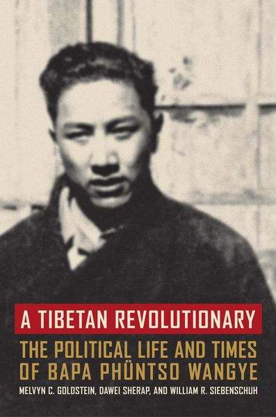 Produktbild: A Tibetan Revolutionary
