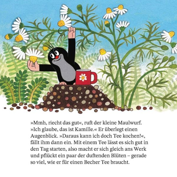Produktbild: Maxi Pixi 468: Ein Tag mit dem kleinen Maulwurf
