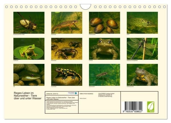 Produktbild: Reges Leben im Naturweiher - Tiere &uuml;ber und unter Wasser (Wandkalender 2027 DIN A4 quer), CALVENDO Monatskalender