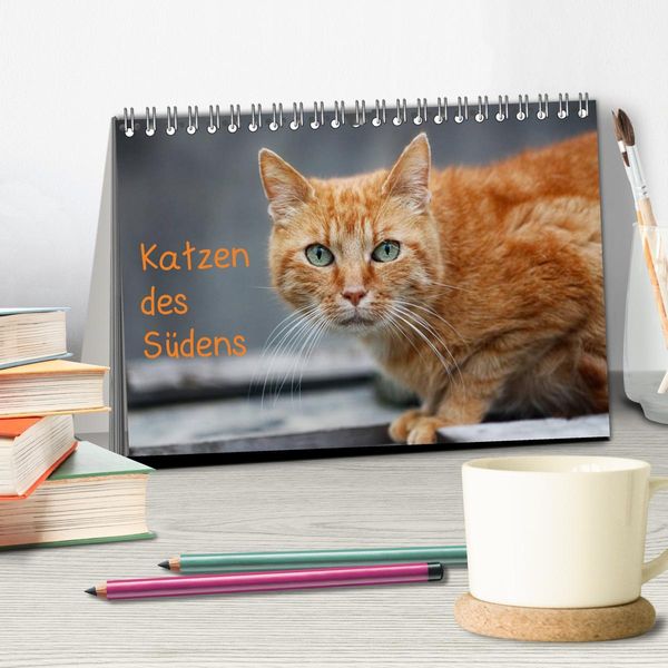 Produktbild: Katzen des S&uuml;dens (Tischkalender 2026 DIN A5 quer), CALVENDO Monatskalender