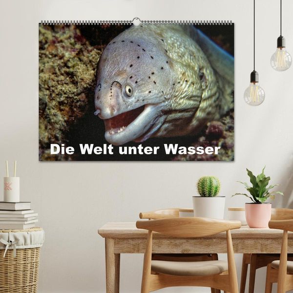 Produktbild: Die Welt unter Wasser (Wandkalender 2026 DIN A2 quer), CALVENDO Monatskalender