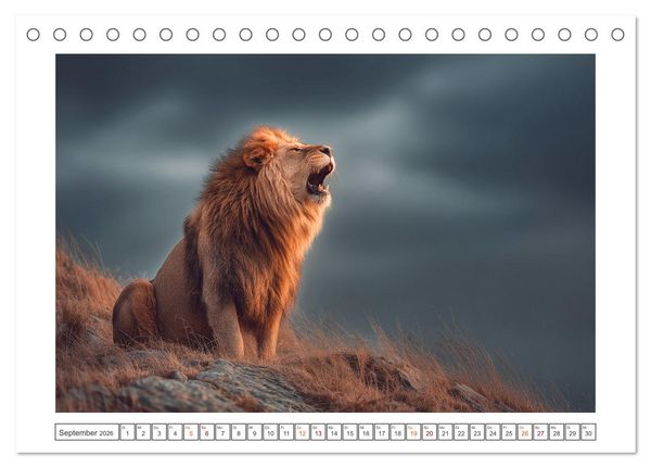 Produktbild: Magie der Wildnis (Tischkalender 2026 DIN A5 quer), CALVENDO Monatskalender