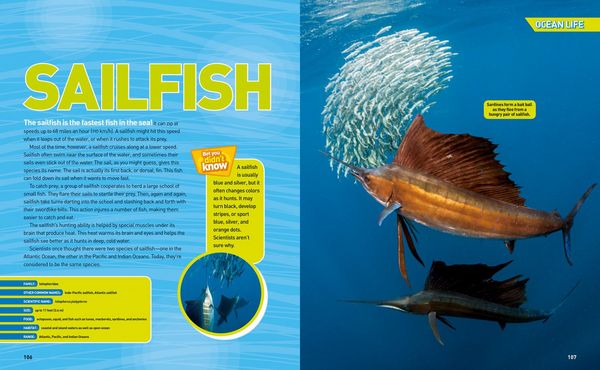 Produktbild: Ultimate Oceanpedia