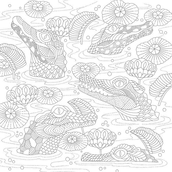 Produktbild: Millie Marotta's Tiny Animal Kingdom