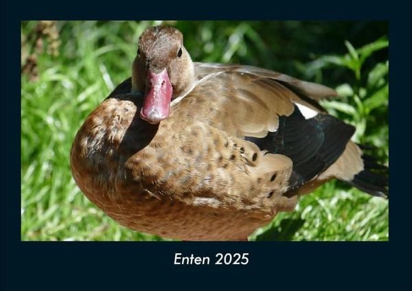 Produktbild: Enten 2025 Fotokalender DIN A4
