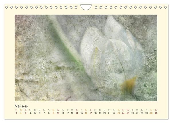 Produktbild: Fotografie trifft Malerei (Wandkalender 2026 DIN A4 quer), CALVENDO Monatskalender