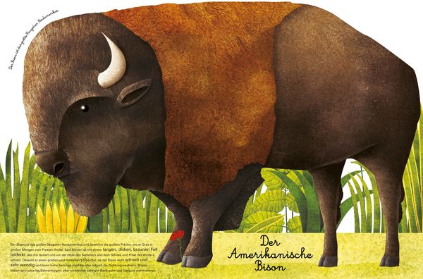 Produktbild: Das gro&szlig;e Buch der riesigen Tiere. Das kleine Buch der winzigen Tiere