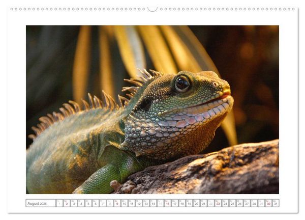 Produktbild: Tiere im Zoo (Wandkalender 2026 DIN A2 quer), CALVENDO Monatskalender