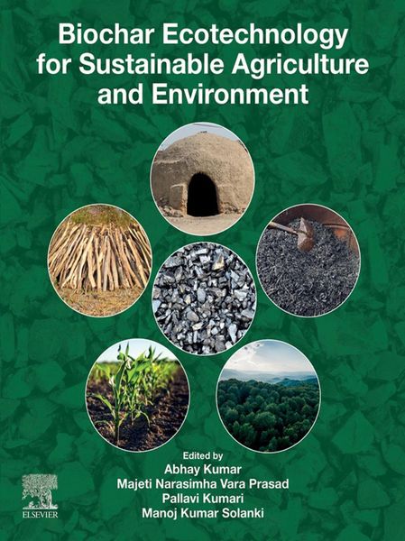 Produktbild: Biochar Ecotechnology for Sustainable Agriculture and Environment