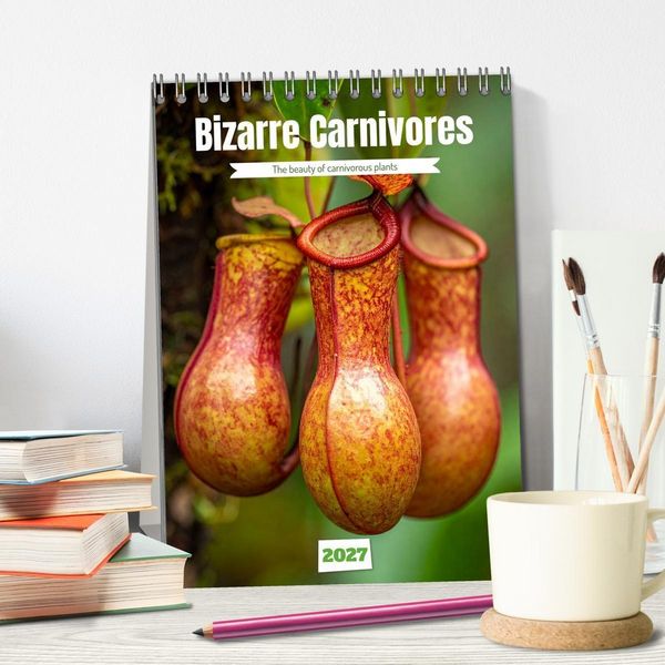 Produktbild: Bizarre Carnivores (Desk Calendar 2027 DIN A5 portrait), CALVENDO 12 Month DeskCalendar