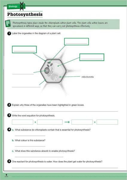 Produktbild: KS3 Year 9 Science Targeted Practice Workbook with answers.
