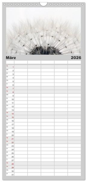 Produktbild: Familienplaner 2026 - Filigrane Pusteblumen / Geburtstagskalender mit 5 Spalten (Wandkalender, 21 x 45 cm) CALVENDO
