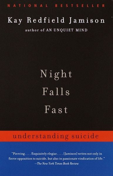 Produktbild: Night Falls Fast