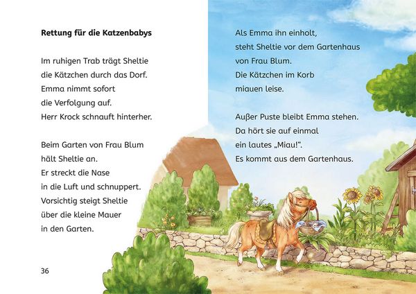 Produktbild: Sheltie, B&uuml;cherhelden 1. Klasse, Sheltie und die Katzenbabys