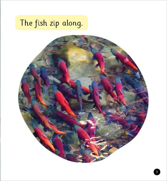 Produktbild: Lots of Fish (Set 4)