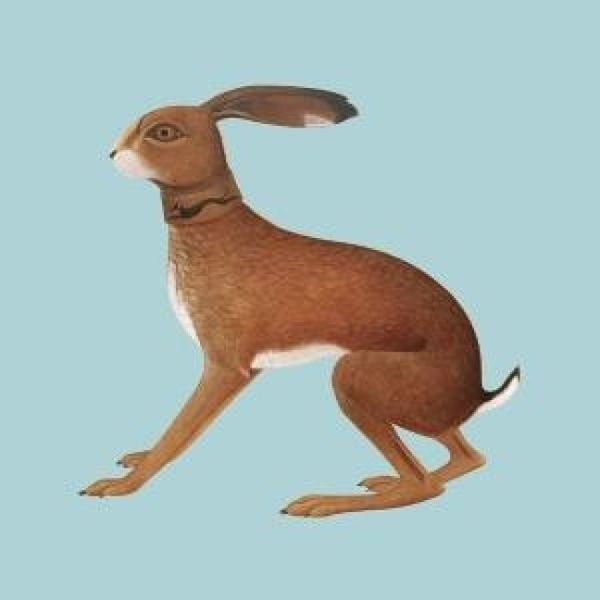 Produktbild: Lookaftering - Expanded Edition