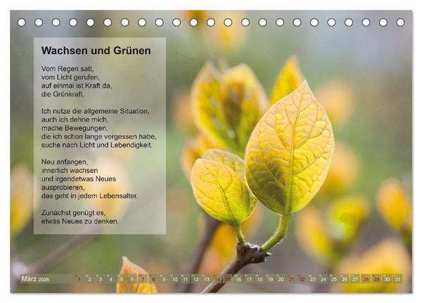Produktbild: Im Rhythmus der Jahreszeiten und des Kirchenjahres (Tischkalender 2026 DIN A5 quer), CALVENDO Monatskalender