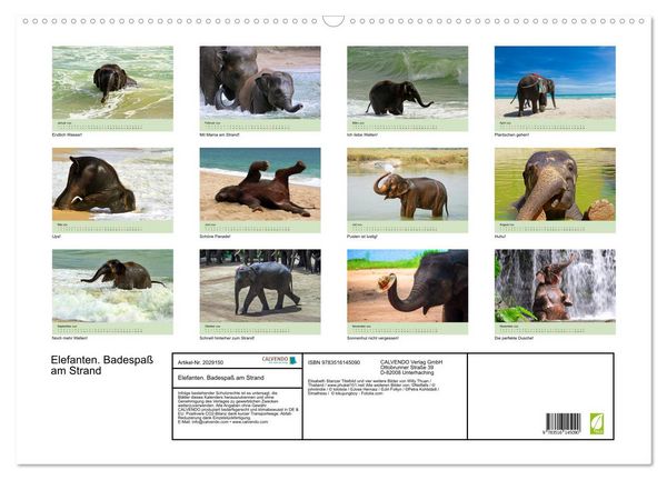 Produktbild: Elefanten. Badespa&szlig; am Strand (Wandkalender 2026 DIN A2 quer), CALVENDO Monatskalender