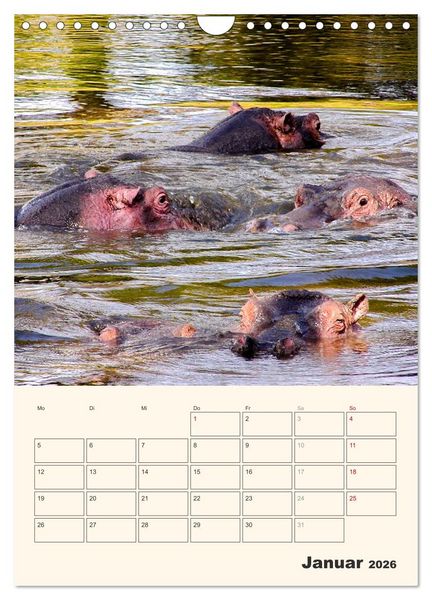 Produktbild: Kenia - Terminplaner (Wandkalender 2026 DIN A4 hoch), CALVENDO Monatskalender