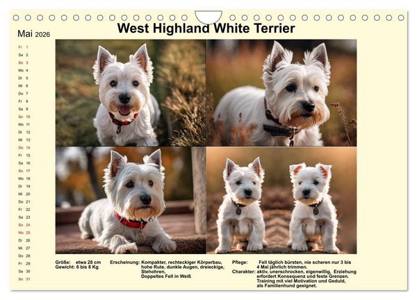 Produktbild: Terrier-Rassen im Portrait (Wandkalender 2026 DIN A4 quer), CALVENDO Monatskalender