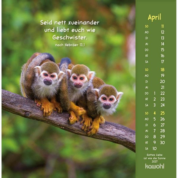 Produktbild: Gottes Liebe ist wie die Sonne 2027