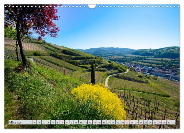Produktbild: Weinregion Kaiserstuhl (Wandkalender 2026 DIN A3 quer), CALVENDO Monatskalender