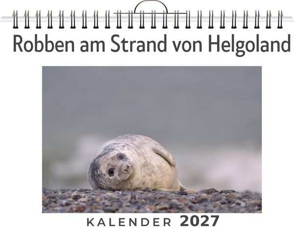 Produktbild: Robben am Strand von Helgoland