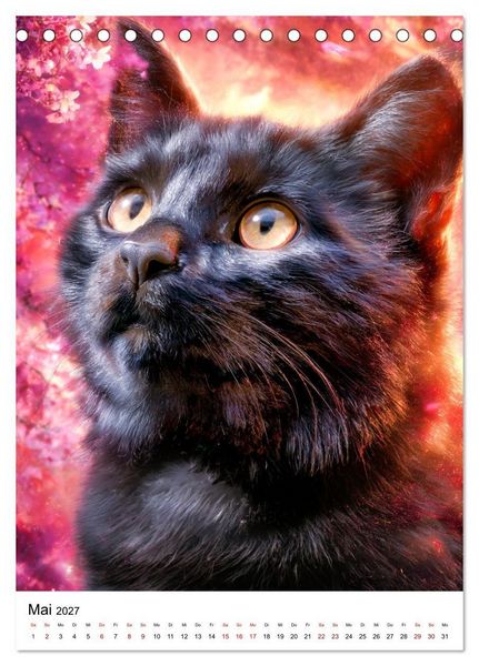 Produktbild: Von wegen Ungl&uuml;ck! - Die faszinierende Welt schwarzer Katzen (Tischkalender 2027 DIN A5 hoch), CALVENDO Monatskalender