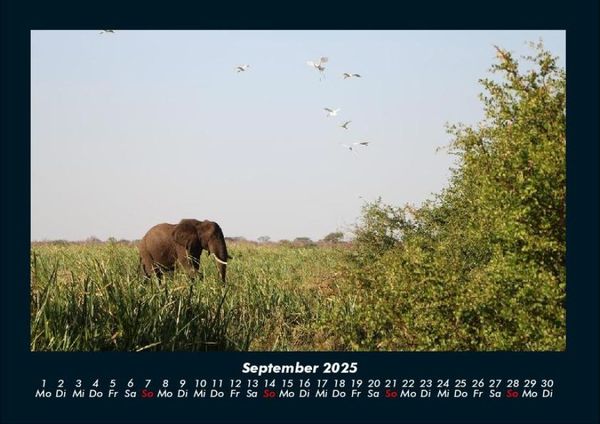 Produktbild: Bilder der Natur 2025 Fotokalender DIN A4