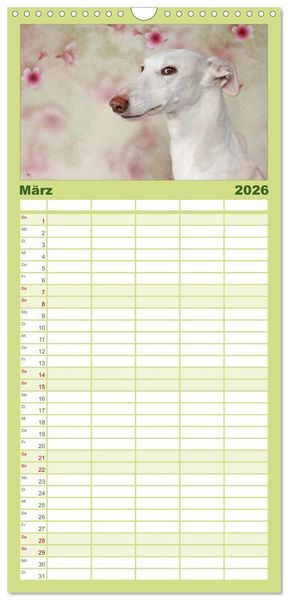 Produktbild: Familienplaner 2026 - Der Windhundekalender mit 5 Spalten (Wandkalender, 21 x 45 cm) CALVENDO